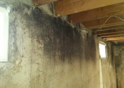 Residential mould removal